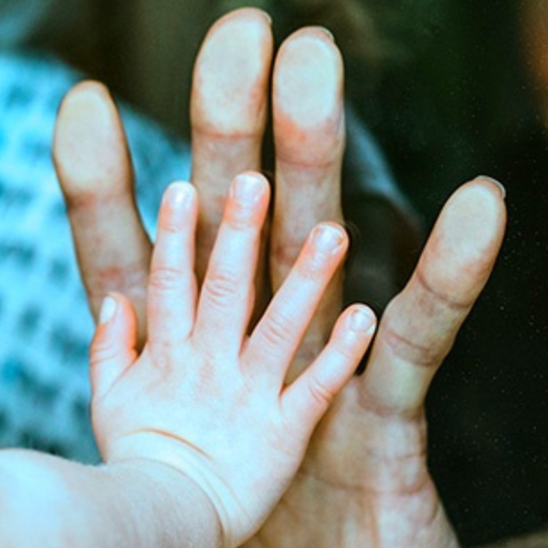 Life Cover vs Income Protection: What Protection Do You Really Need?
