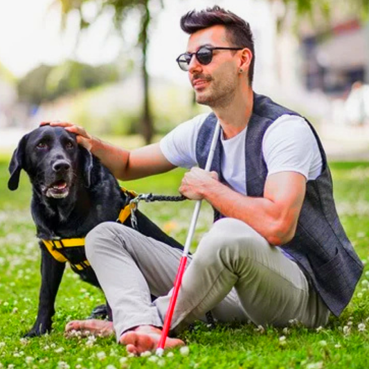 Group Life & Disability Benefits | Financial Planning Services in Johannesburg